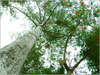 Lanna Mantra Hotel 